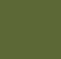 Olive green 25