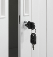Nieuw slot inclusief 2 sleutels