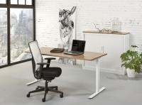 Bureau Tendenz 120x60cm