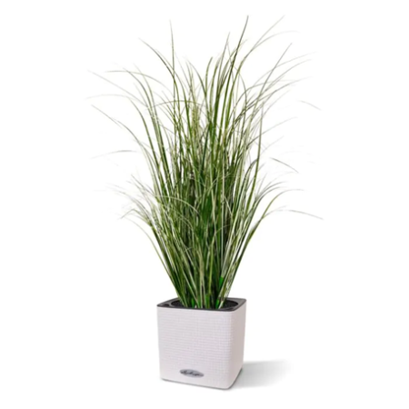 Kunst Rietgras plant 80cm - groen/crème