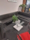 Arco bank frame Bench ontwerp Burkhard Vogtherr (jong gebruikt)