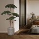 Pinus Kunst Bonsaiboom Deluxe 150cm
